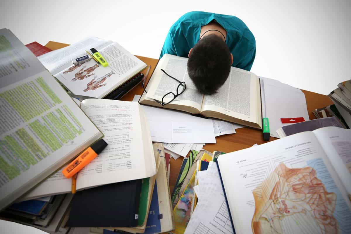 Guide de survie en cas de chaos ou de crise en entreprise image RIGIDE - Guide de survie en cas de chaos ou de crise en entreprise